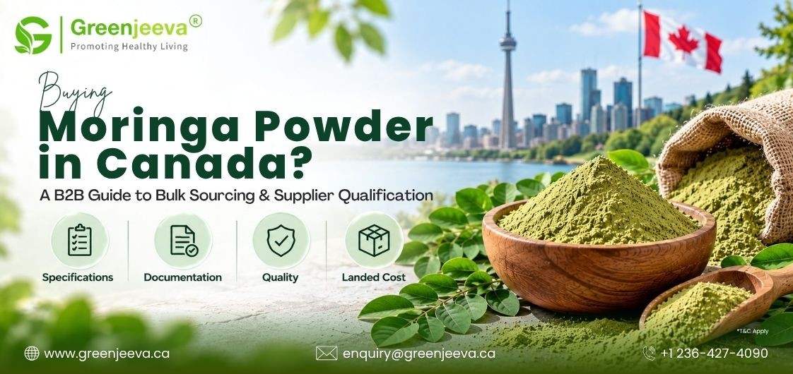Moringa Powder in Canada: Market, Bulk Sourcing and Supplier Selection